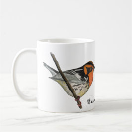 Blackburnian Warbler White Coffee Kopp