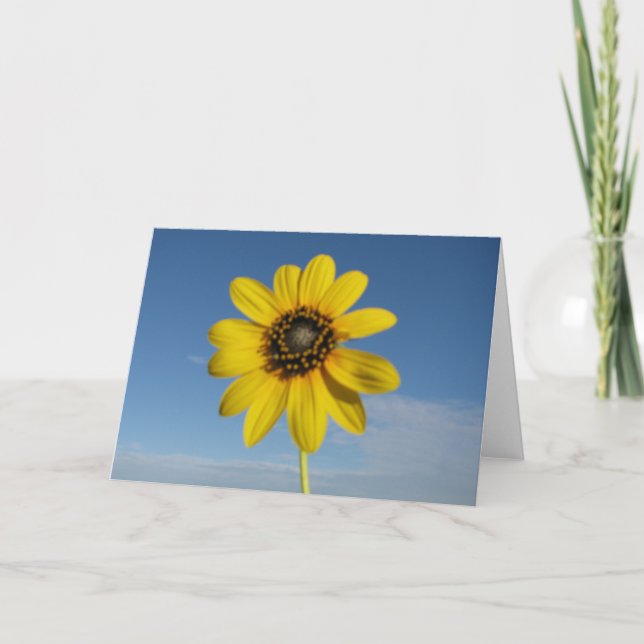 Blackeyed Susan Card (Lodrät) Kort (Framsida)