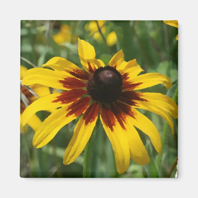 Blackeyed Susan Magnet (Framsidan)