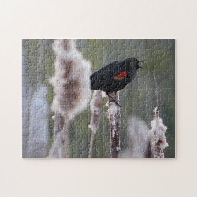 Bläckfisk (Agelaius phoeniceus) Pussel (Horisontell)