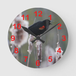 Bläckfisk (Agelaius phoeniceus) Rund Klocka