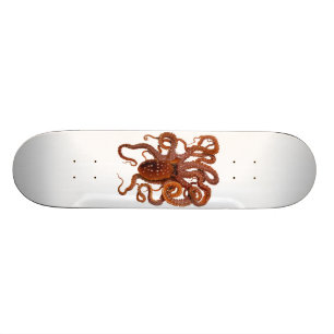 Bläckfisk för atlantisk vit för bläckfiskMacro Skateboard Bräda 21,5 Cm