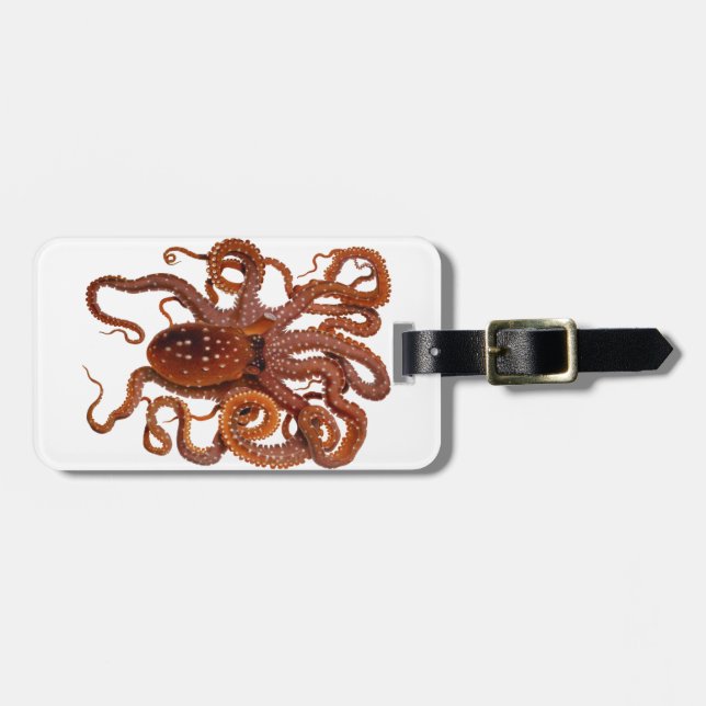 Bläckfisk för atlantisk vit för bläckfiskMacropus Bagagebricka (Horisontell Framsida)