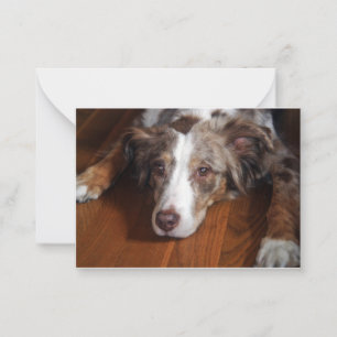 Bläckfisk från australian shepherd anteckningskort