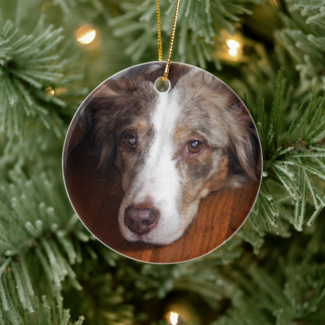 Bläckfisk från australian shepherd julgransprydnad keramik (Träd)