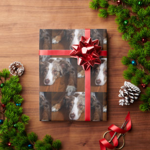 Bläckfisk från australian shepherd presentpapper