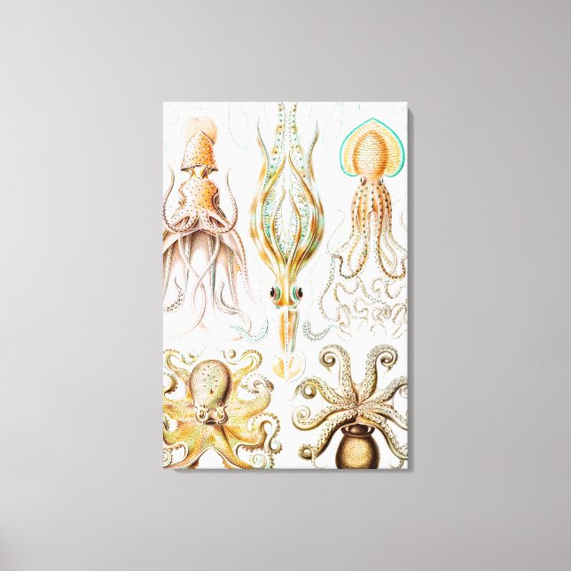 Bläckfisk, Gamochonia av Ernst Haeckel Canvastryck (Framsida)
