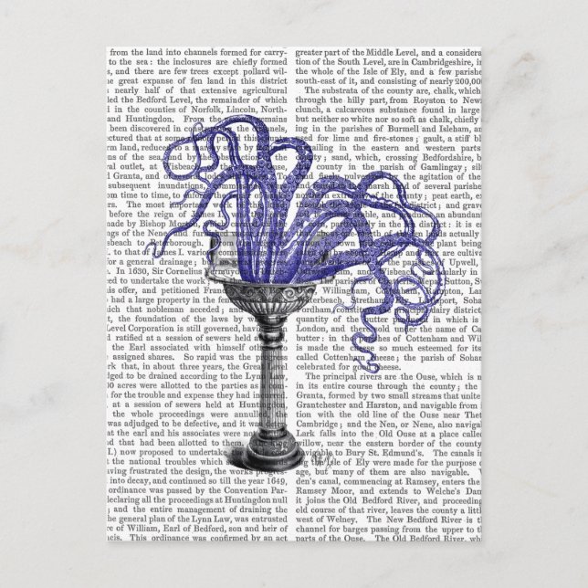 Bläckfisk i diskbänk vykort (Framsida)