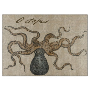Bläckfisk Kraken Antik Marin Vilda Djur