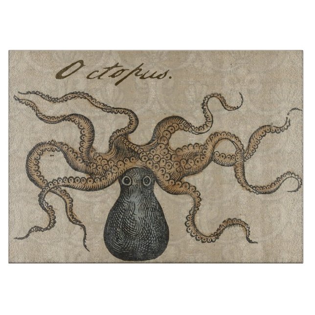 Bläckfisk Kraken Antik Marin Vilda Djur (Framsidan)