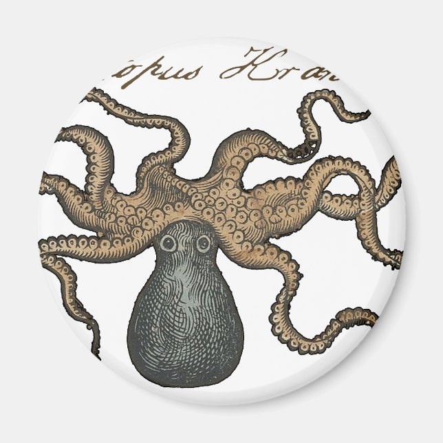 Bläckfisk Kraken Antik Marin Vilda Djur Magnet (Framsidan)