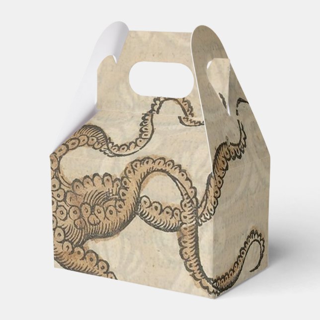 Bläckfisk Kraken Antik Marin Vilda Djur Presentaskar (Framsidan Sidan)