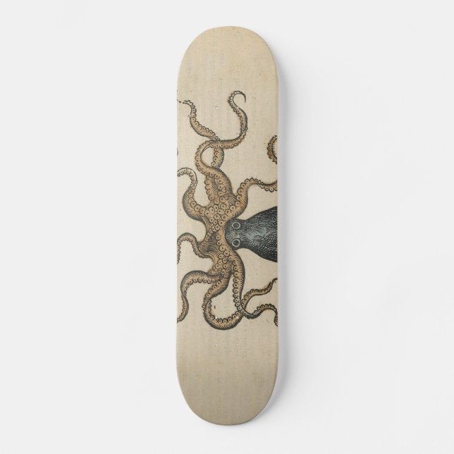 Bläckfisk Kraken Antik Marin Vilda Djur Skateboard Bräda 20 Cm (Framsida)