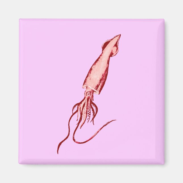 bläckfisk magnet (Framsidan)