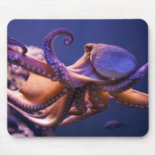 Bläckfisk Mousepad Musmatta