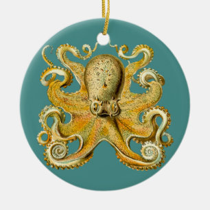 bläckfisk, ornament
