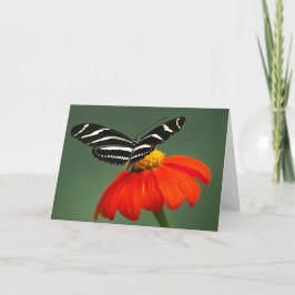 Bläckfiskekort för zebra Longwing Butterfly Blank Tack Kort