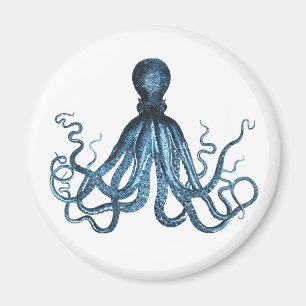 Bläckfisken kraken det nautiska kust- magnet