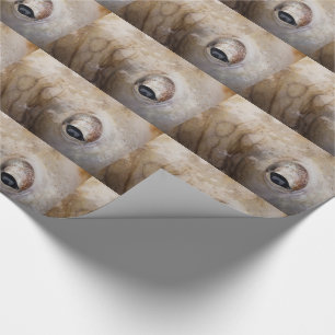 Bläckfisköga Presentpapper