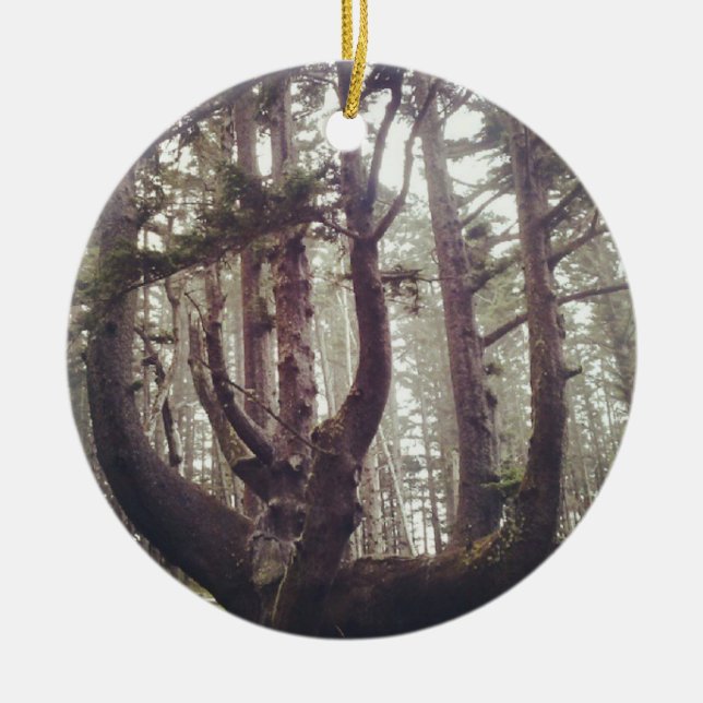 Bläckfiskträdet, Cape Meares, Oregon Julgransprydnad Keramik (Framsidan)