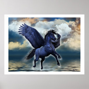 BLACKFLER SKRIV POSTER
