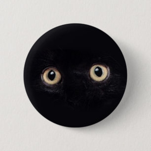 blackie knapp