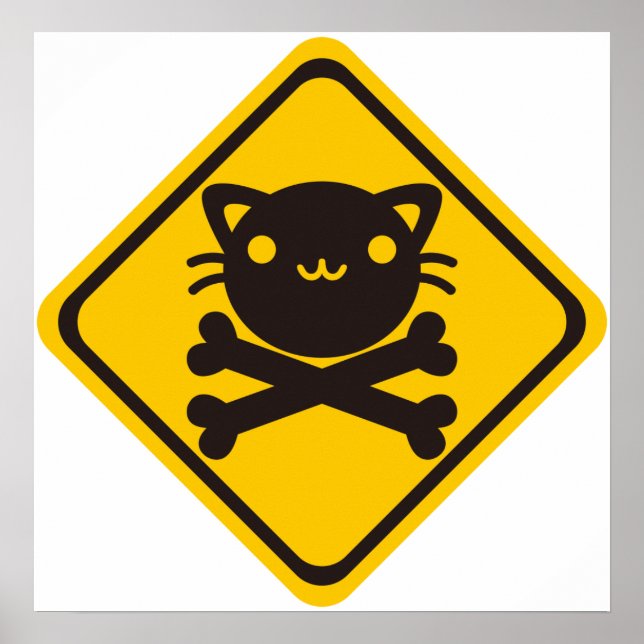 BlackJack (katt) Poster (Framsidan)