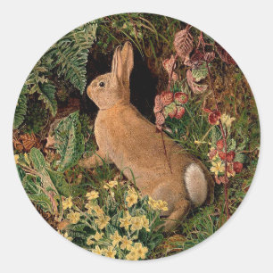 Bläckkaninblommor fernerns vintage woodland vår runt klistermärke