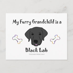 BLackLab Vykort
