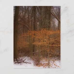 Blacklick Park Vykort