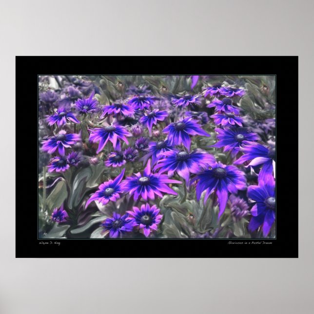 Blacklight Moment i Gloriosa Poster (Framsidan)