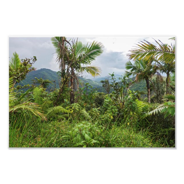 Bläckor och dalgångar av el-yunque fototryck (Framsidan)