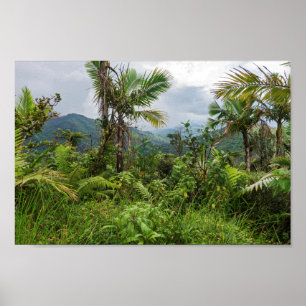 Bläckor och dalgångar av el-yunque poster