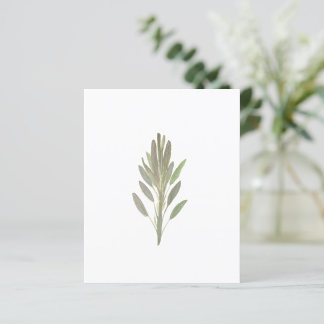 Bläckört, botaniskt växthöna pappra lakan (Stående Fram)