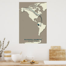 Blackpoll Warbler Migration Karta - Minimalist - M