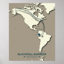 Blackpoll Warbler Migration Karta - Minimalist - M Poster