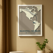 Blackpoll Warbler Migration Karta - Minimalist - M