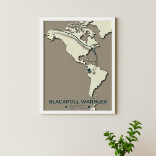 Blackpoll Warbler Migration Karta - Minimalist - M Poster