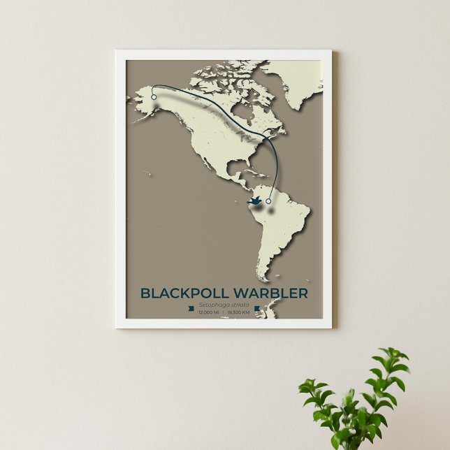 Blackpoll Warbler Migration Karta - Minimalist - M Poster (Skapare uppladdad)