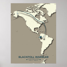 Blackpoll Warbler Migration Karta - Minimalist - M Poster