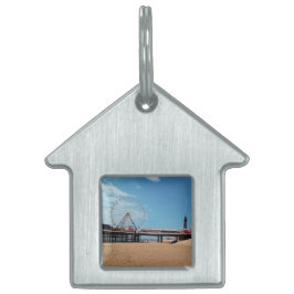 Blackpool strand ID-bricka husdjur