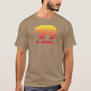 Blacksburg Virginia Rainbow Bear T Shirt