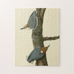 Bläckskallig nuthatch - Audubon's Birds of America Pussel