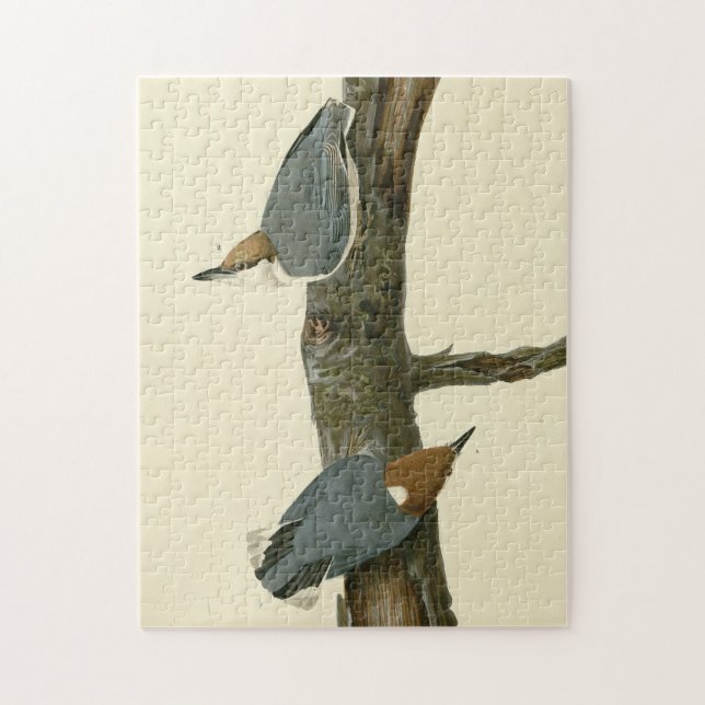 Bläckskallig nuthatch - Audubon's Birds of America Pussel (Vertikal)