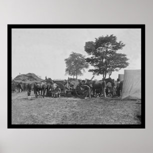 Blacksmith Shoeing Horses på Antietam 1862 Poster