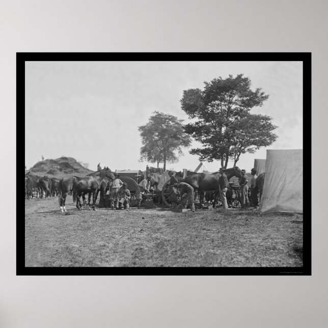 Blacksmith Shoeing Horses på Antietam 1862 Poster (Framsidan)