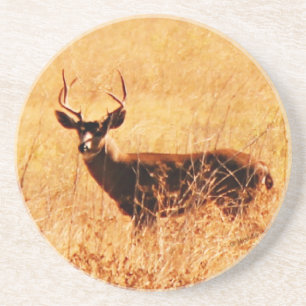Blacktail bock underlägg
