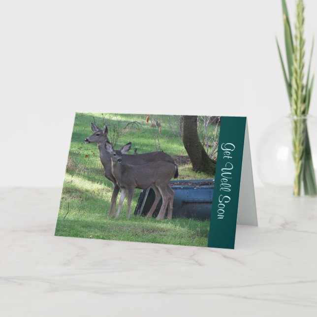 Blacktail Hjorten kommer snart att få anteckningsk Kort (Framsida)