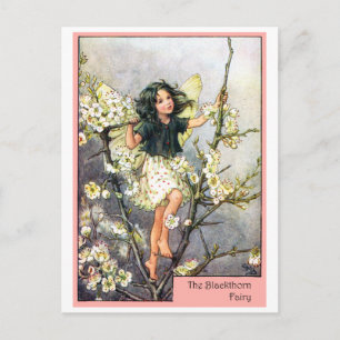 Blackthorn Fairy Vykort