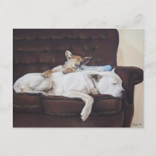 Bläckvit amerikan bulldog realist art vykort